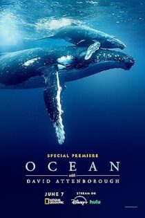دانلود فیلم Ocean with David Attenborough 2025 بدون سانسور